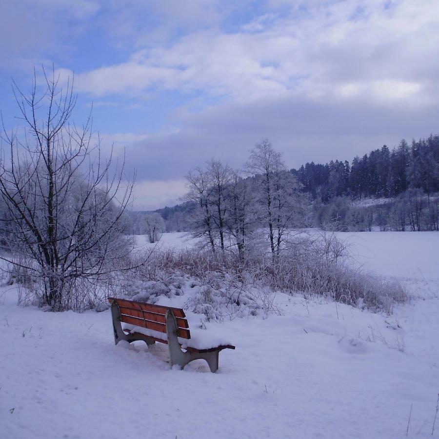 Feriendomizil-Sauerland Fewo 1 Medebach Bagian luar foto